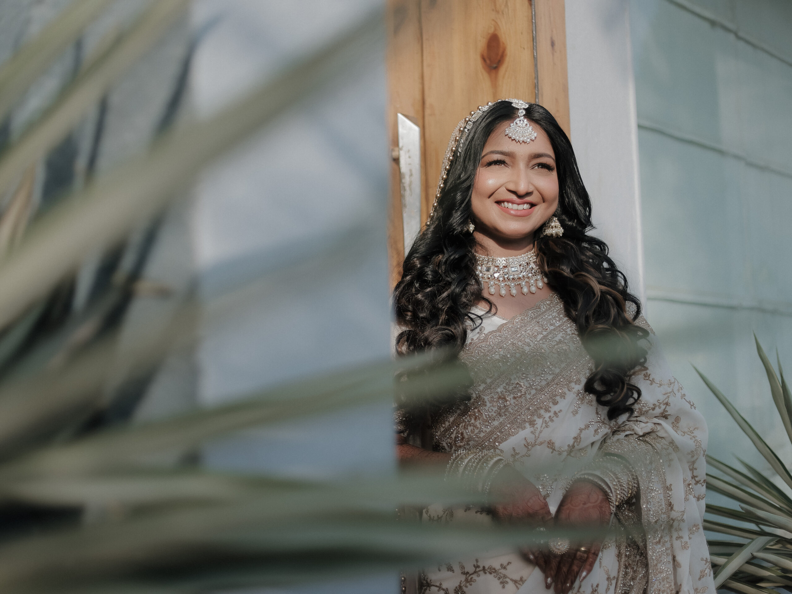 indias best lightroom preset
